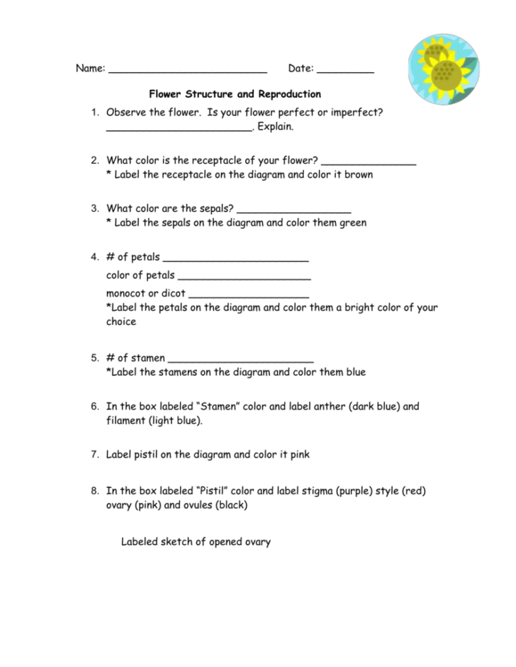 Flower Structure And Reproduction Worksheet Answers —