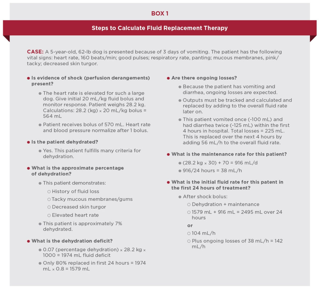Fluid Calculations Keeping A Balance  Today's Veterinary Nurse