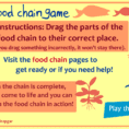 Food Chain Essential Questions  Brainpop Educators
