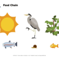 Food Chain Image Worksheet  Brainpop Educators