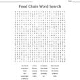 Food Chain Word Search  Word
