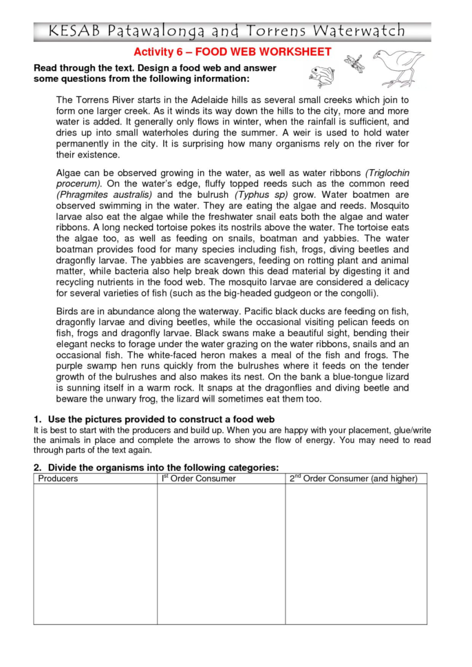 Food Chain Worksheet Answers Food Chain Worksheet Answers
