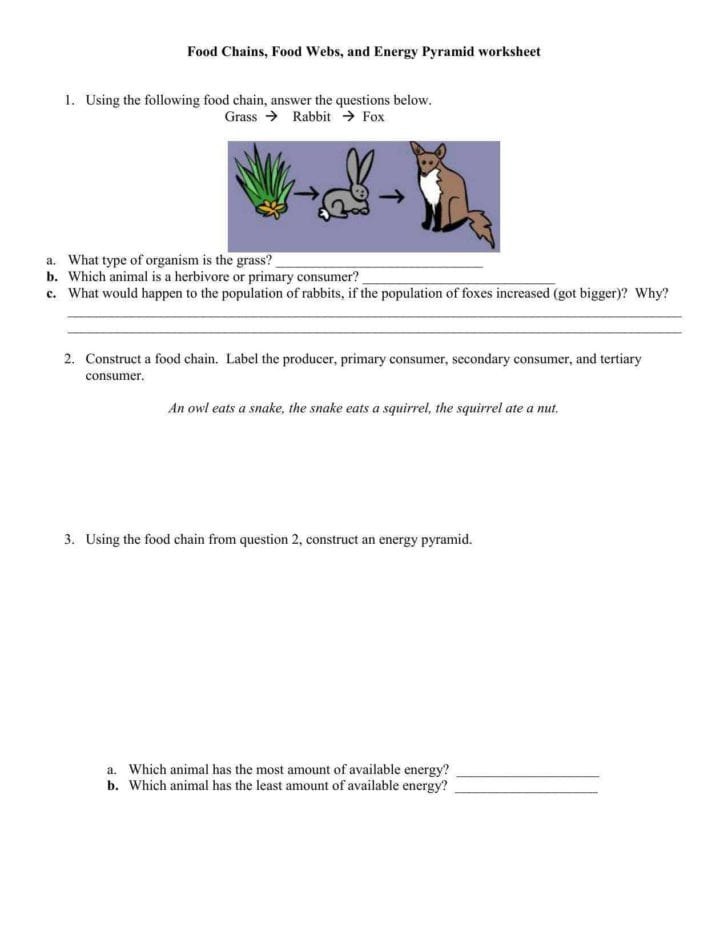 Food Chains And Webs Worksheet