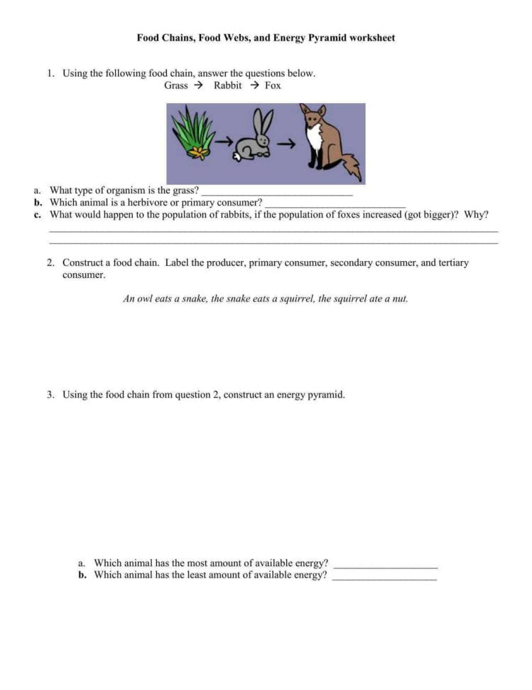 Food Chains And Webs Esl Worksheeteu Glive Com Worksheet