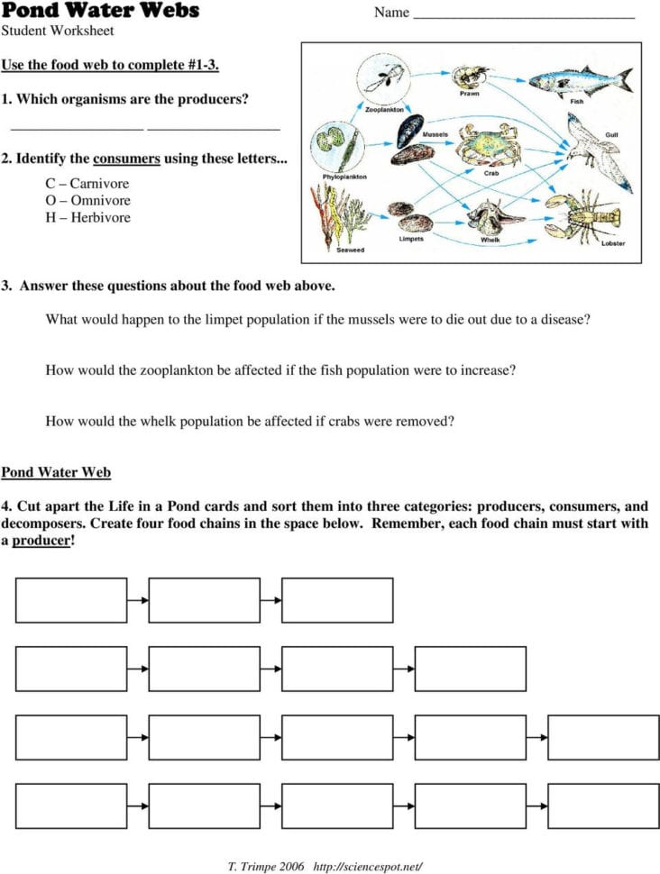 Food Chains And Webs Esl Worksheeteu Glive Com Worksheet