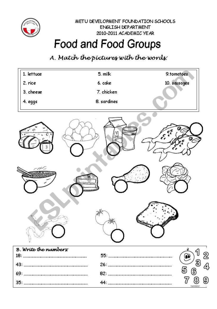 Food Groups Worksheets — db-excel.com