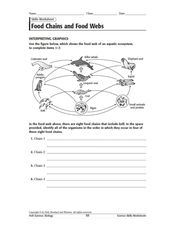 food-web-worksheet-db-excel