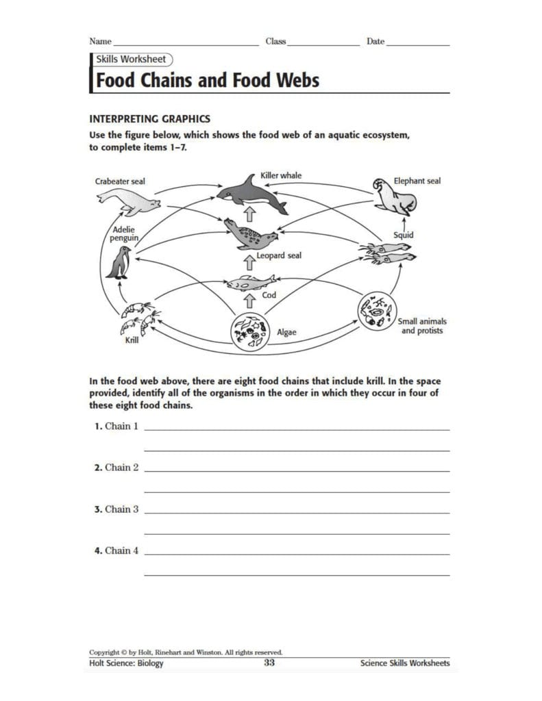 Food Webs And Food Chains Worksheet