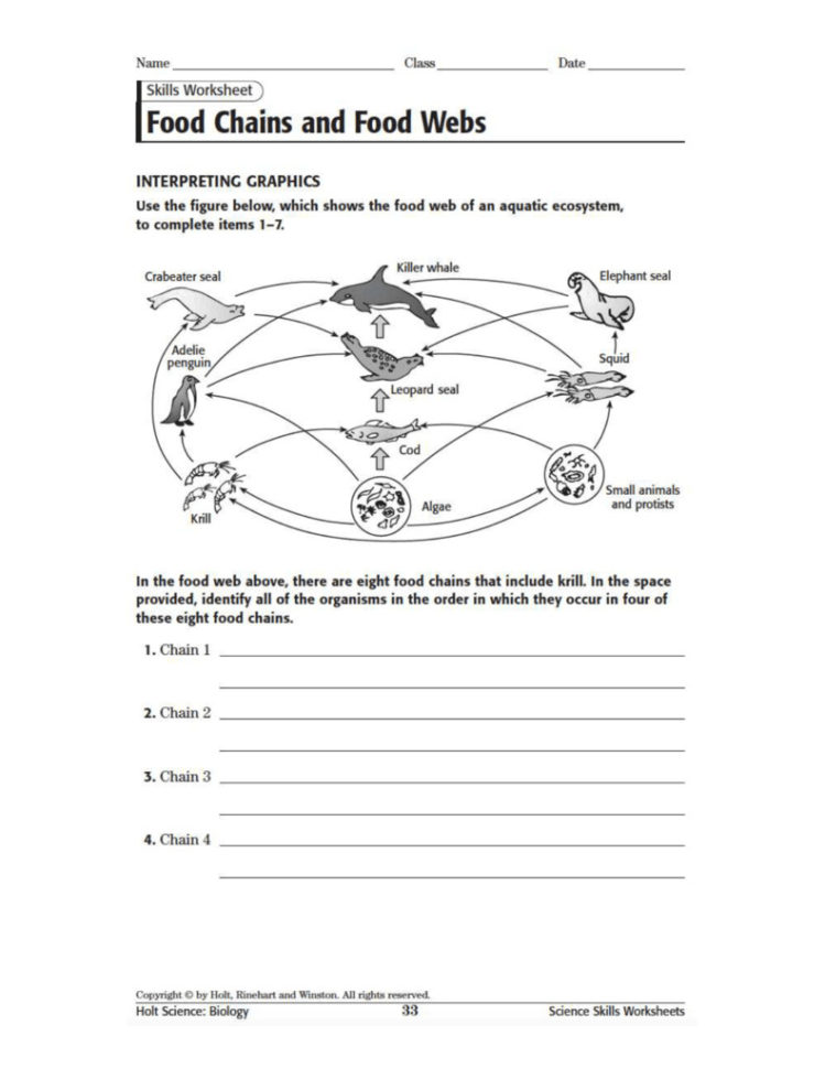 Food Webs And Food Chains Worksheet Answers  Yooob