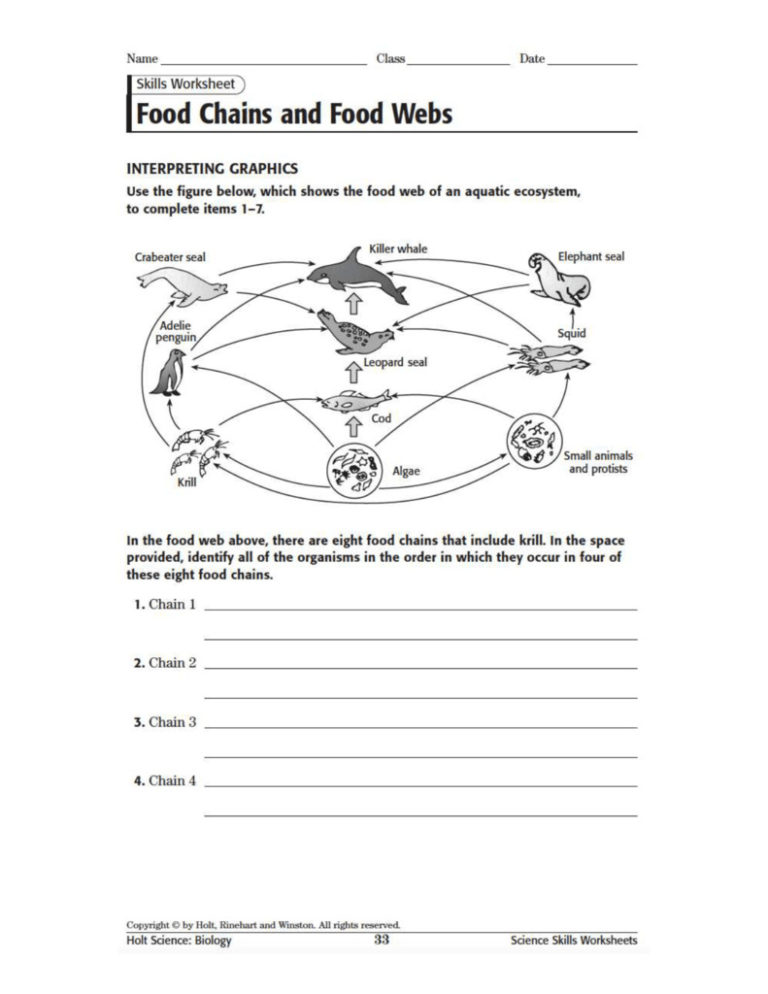 Food Web Worksheet Answers