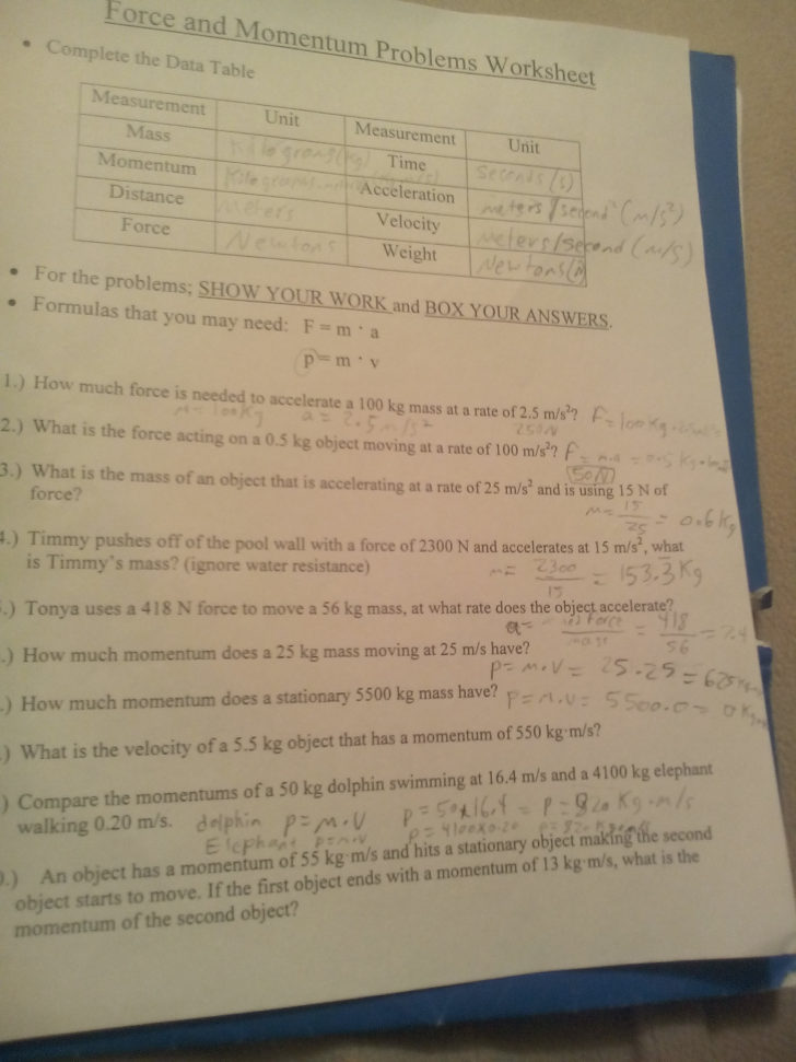 Physics Force Worksheets With Answers