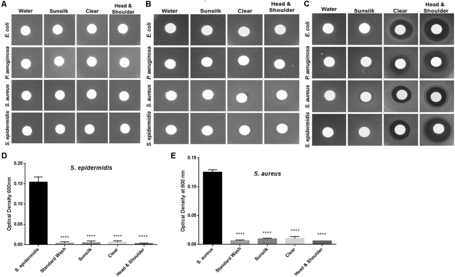 Forensic Hair Analysis Worksheet