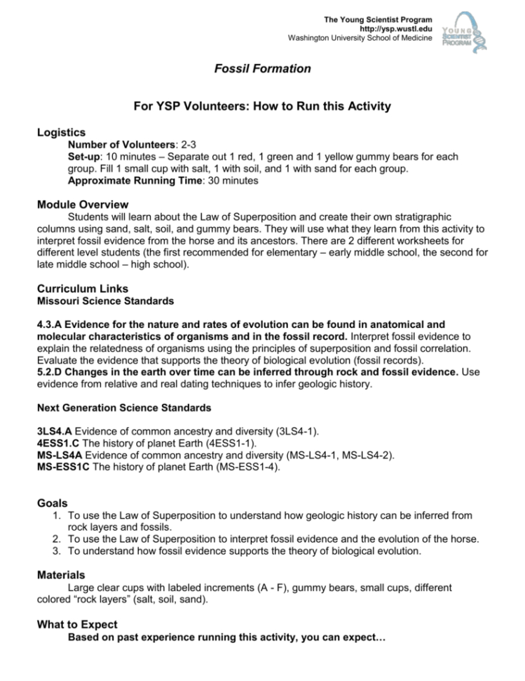 Fossilformationteacherhandout