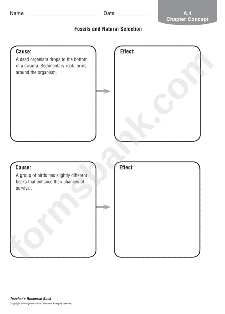 Natural Selection Worksheet Pdf