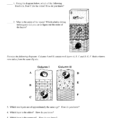 Fossils Worksheet – Earth Science
