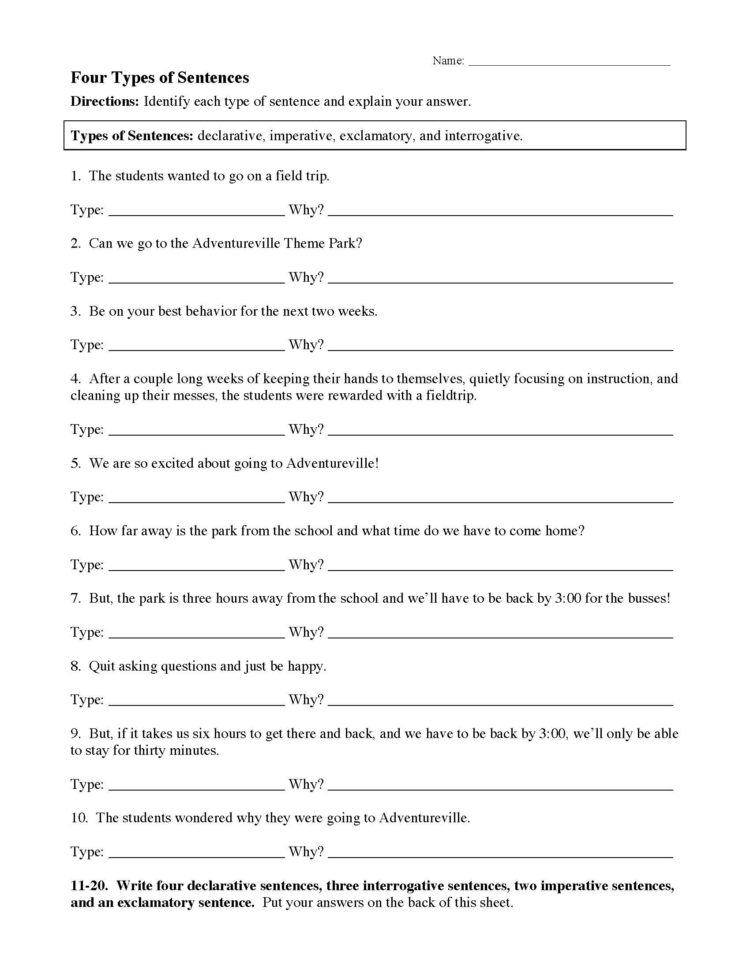 Four Types Of Sentences Worksheet  Preview