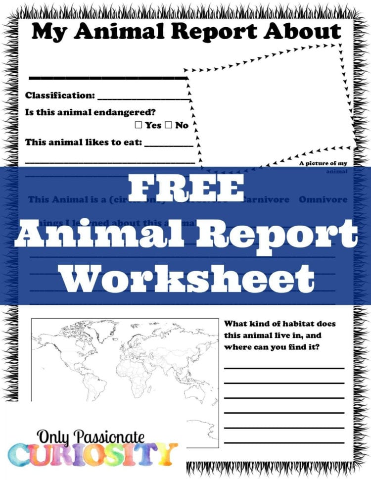 Free Animal Report Worksheet  Only Passionate Curiosity