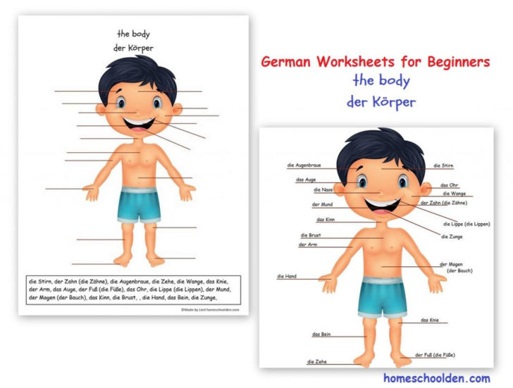 German For Beginners Worksheets Db excel