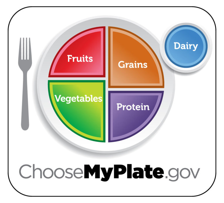 Choose My Plate Worksheet — db-excel.com