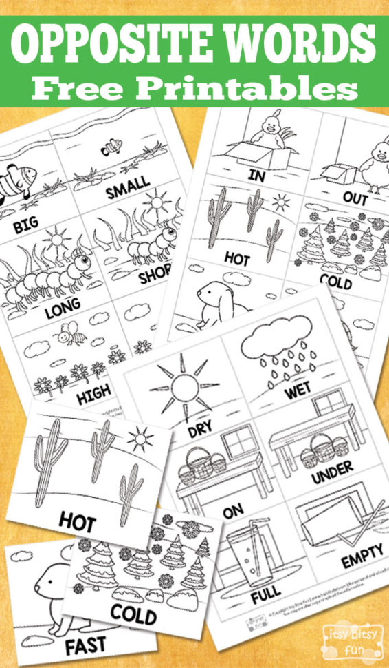 Free Opposite Words Printables  Itsy Bitsy Fun