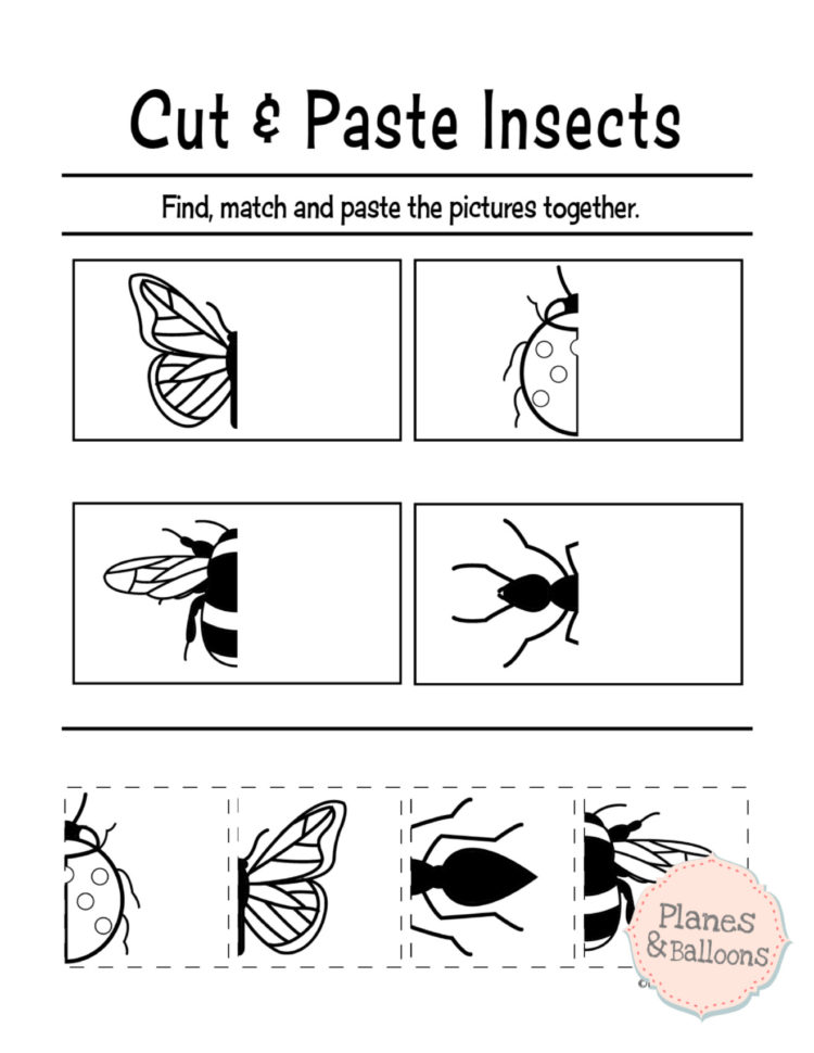 Free Printable Cut And Paste Worksheets For Preschool Bugs Cutting