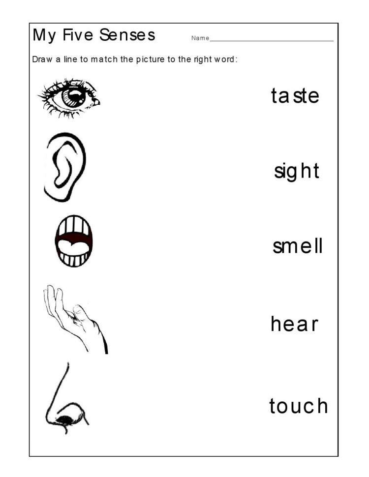 Free Worksheets For Kids English For Kids Worksheet