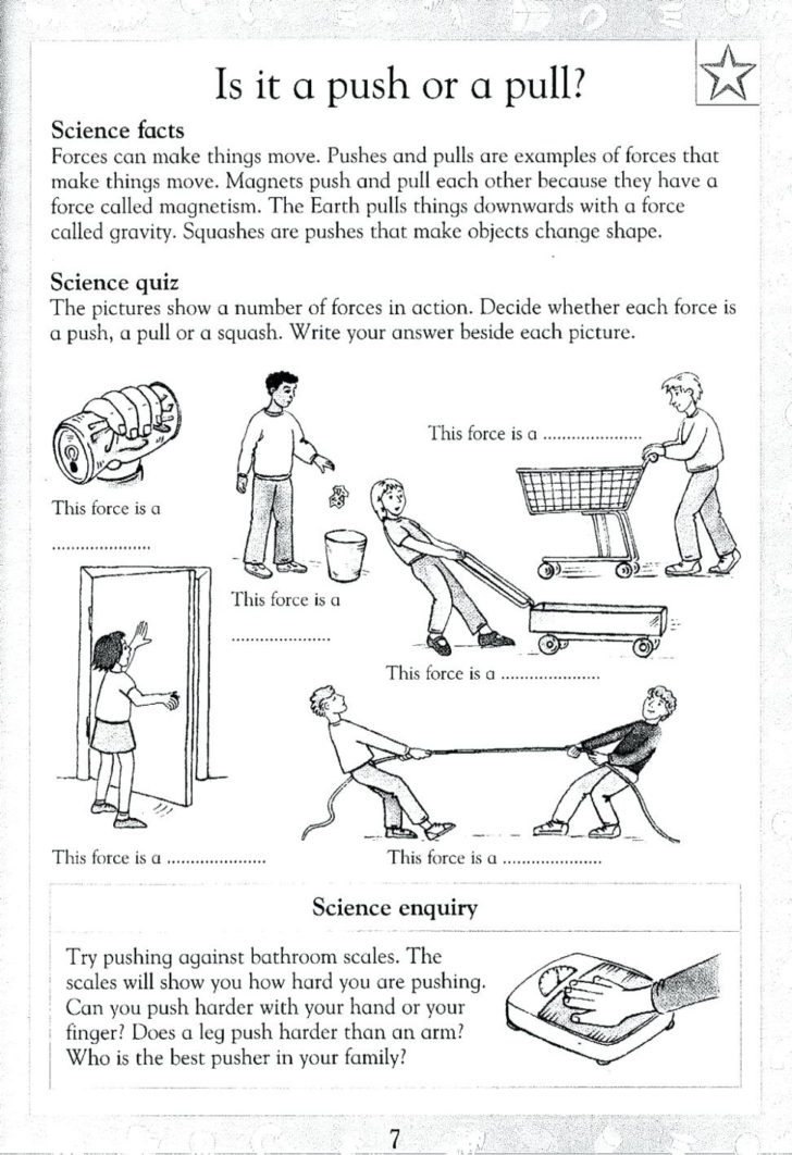 Friction And Gravity Worksheet