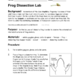 Frog Dissection 2014