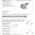 Frog Dissection Student Answer Sheet Name Orientation