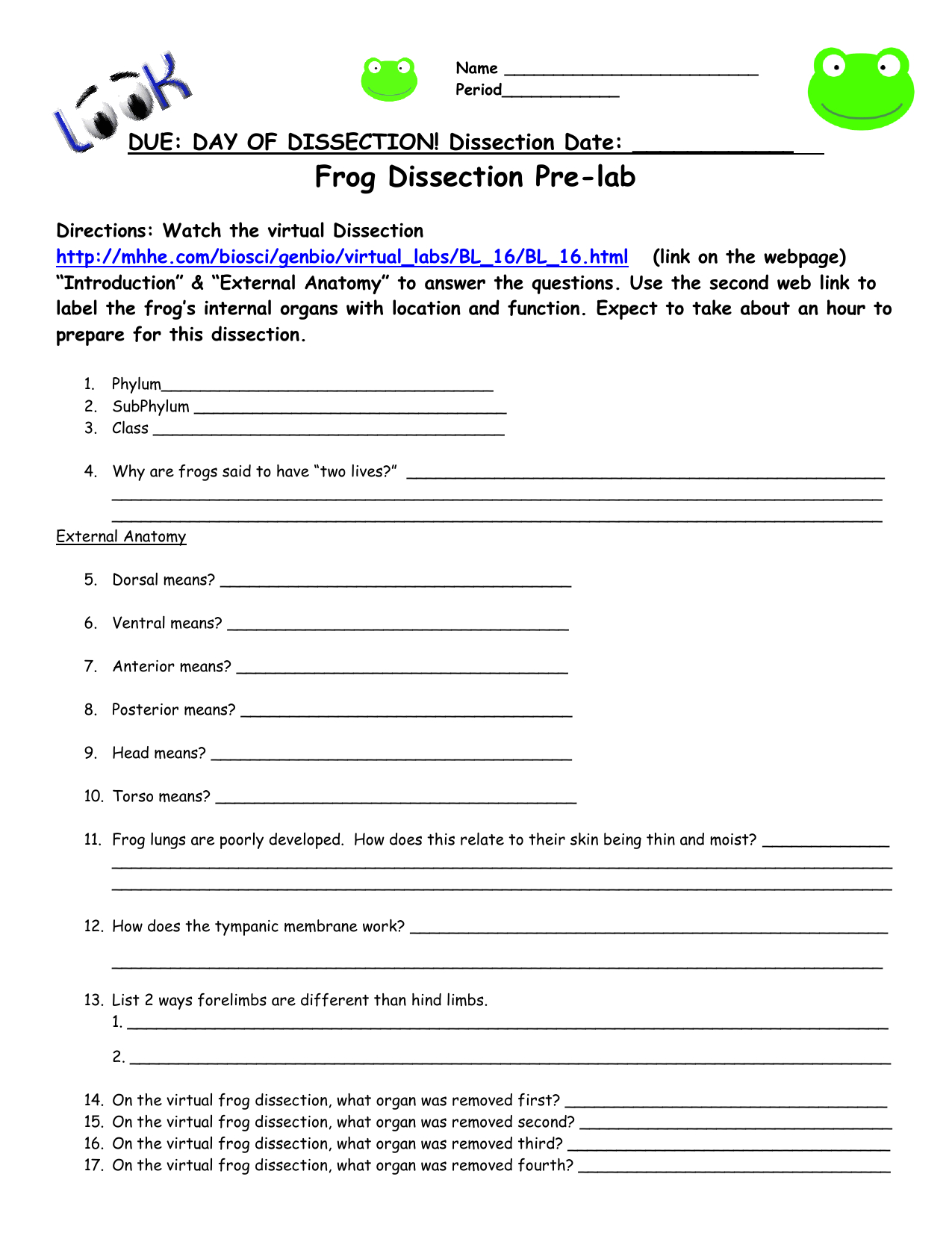 Frog Dissection Worksheet