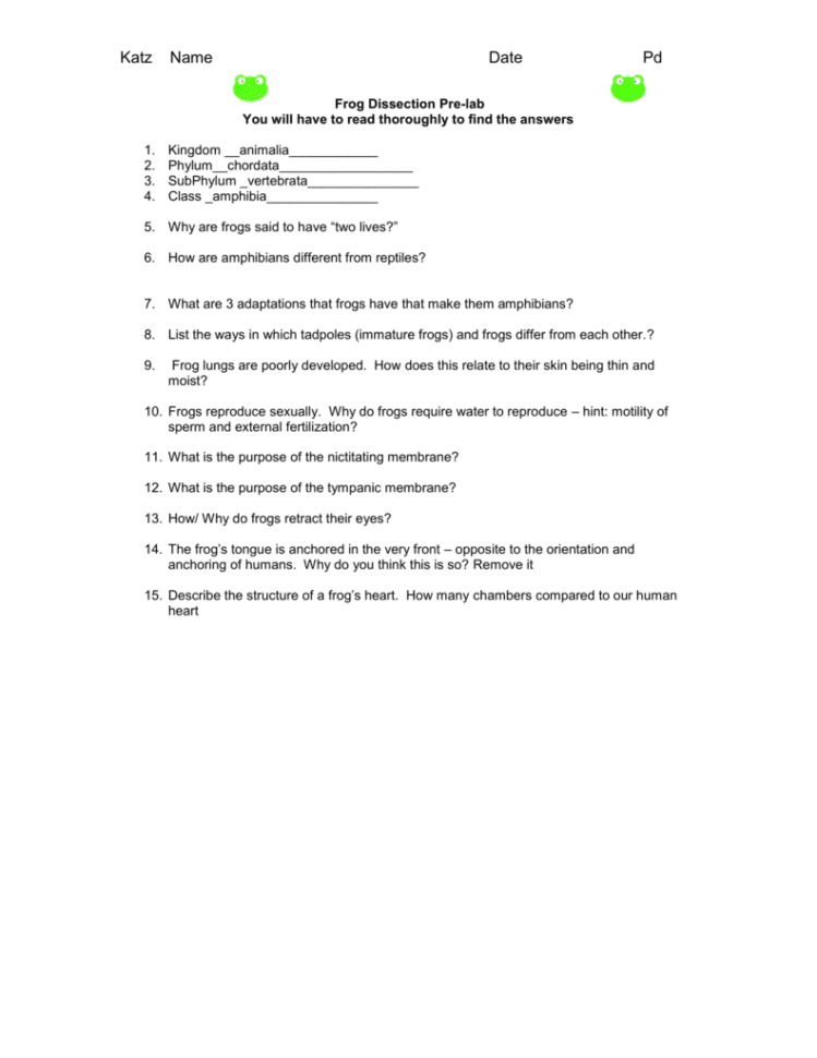 Frog Dissection Worksheet