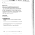 From Dna To Protein Synthesis Lab