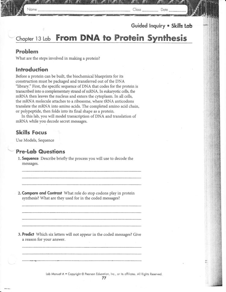 From Dna To Protein Synthesis Lab