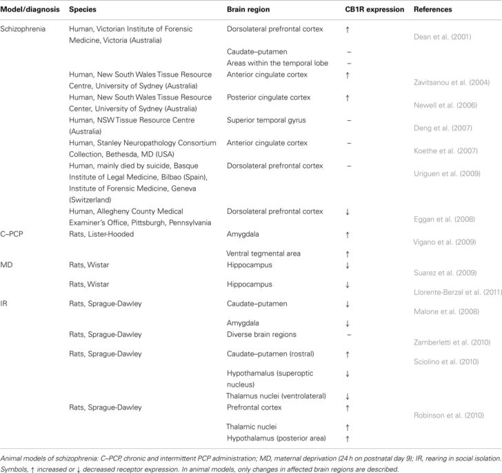 Post Acute Withdrawal Syndrome Worksheet