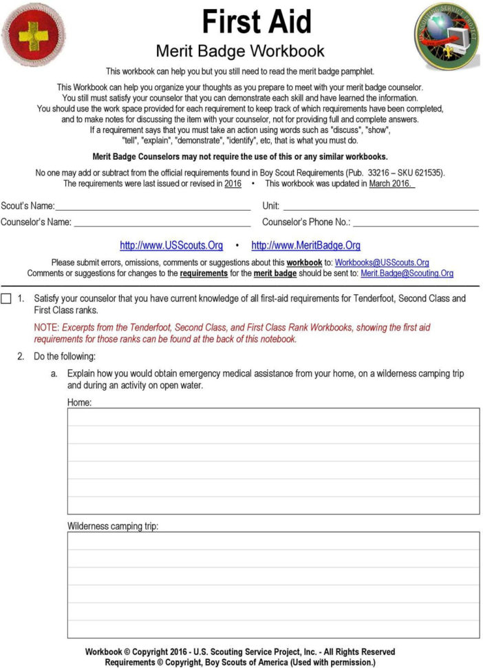 Ft Aid Merit Badge Workbook  Pdf