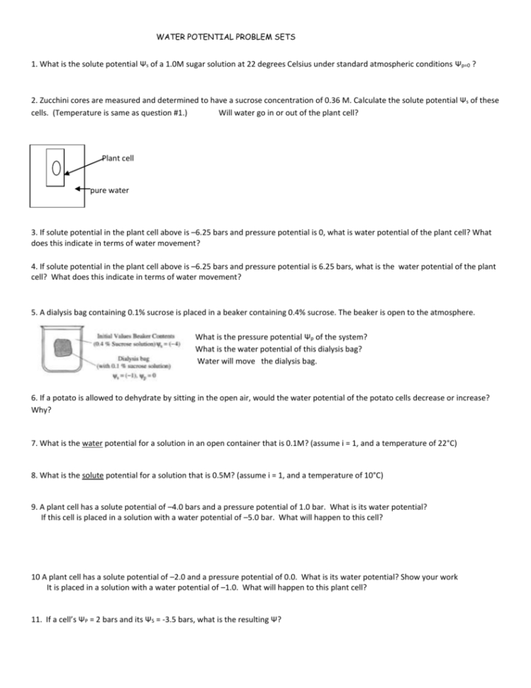 Fun With Ter Potential Worksheet