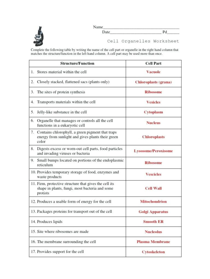 Function Table Worksheets Function Worksheets Grade Great