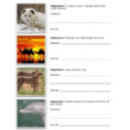 Functions Of Animal Adaptations  Vtaide Pages 1  3  Text