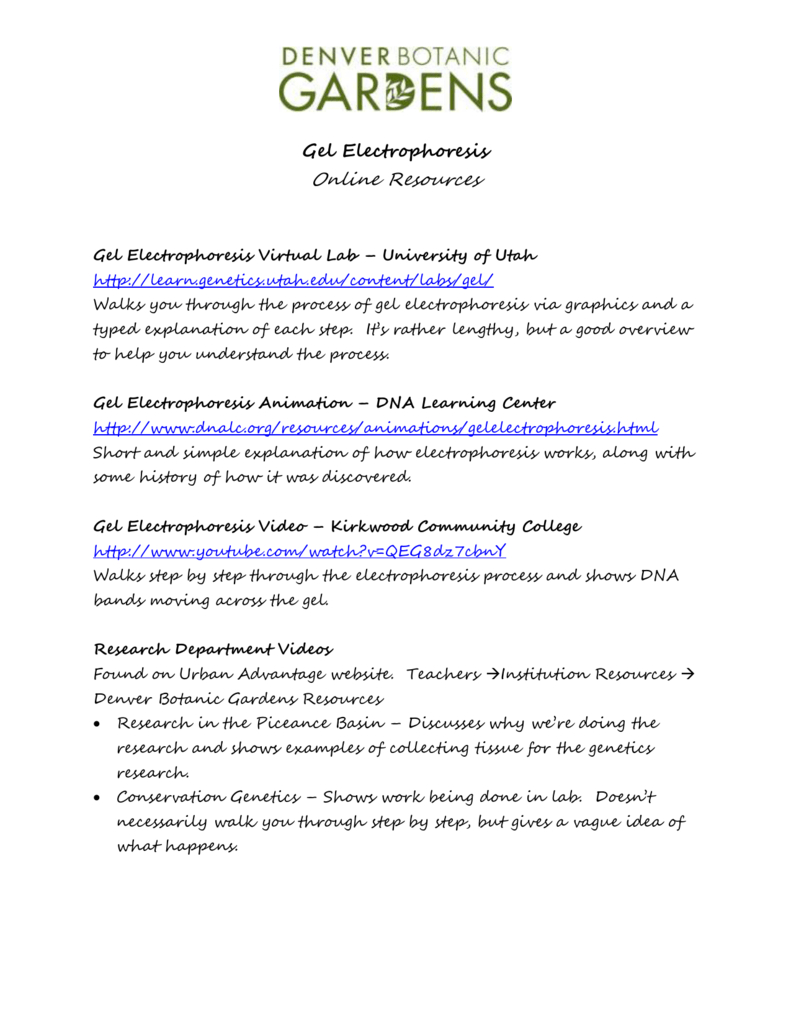 Virtual Gel Electrophoresis Lab Worksheet — db-excel.com