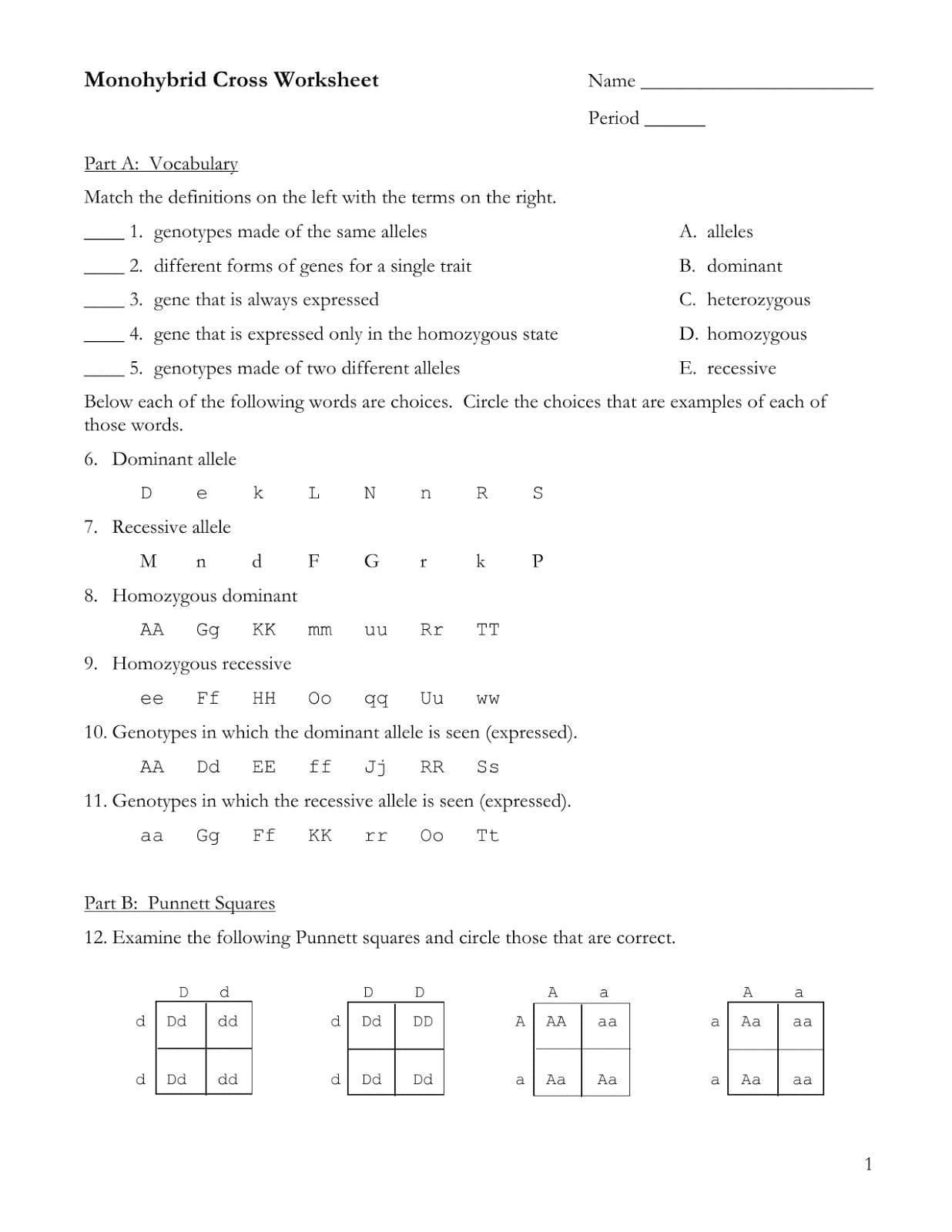 Gene And Chromosome Mutation Worksheet Answer Key Db excel