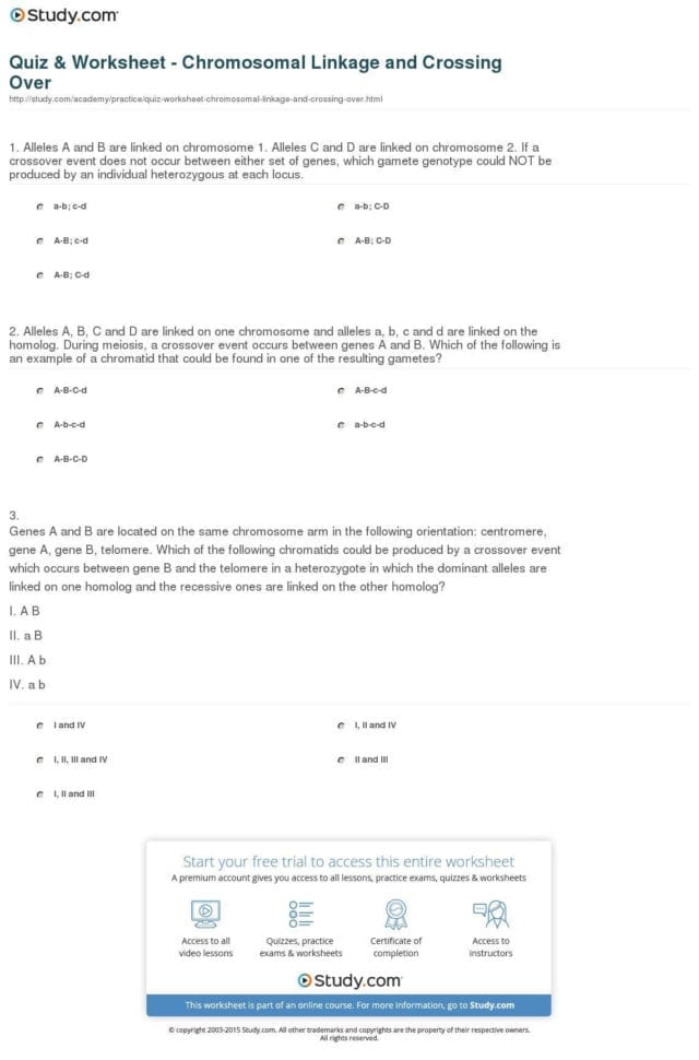 Gene And Chromosome Mutation Worksheet Answer Key