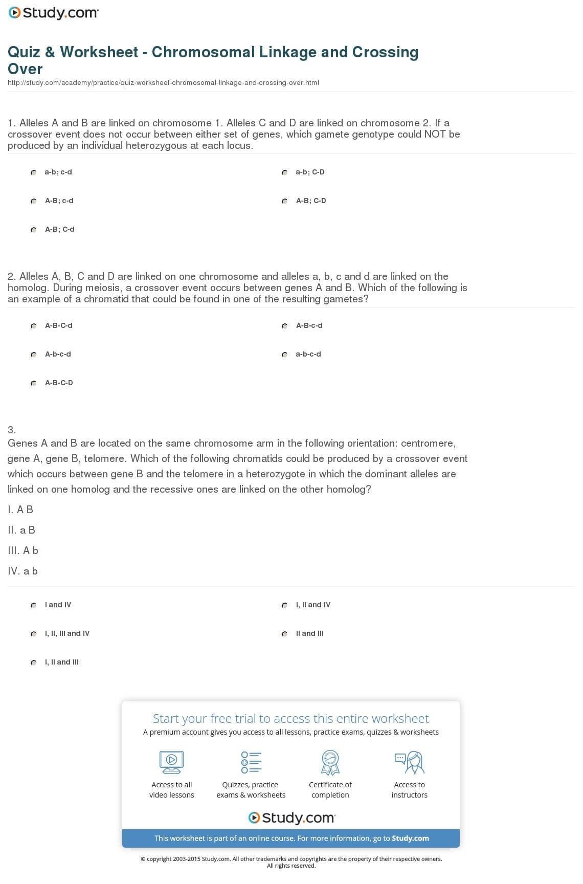 Gene And Chromosome Mutation Worksheet