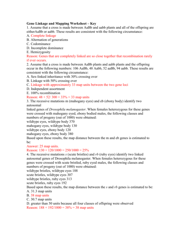 Gene Linkage And Mapping Worksheet – Key