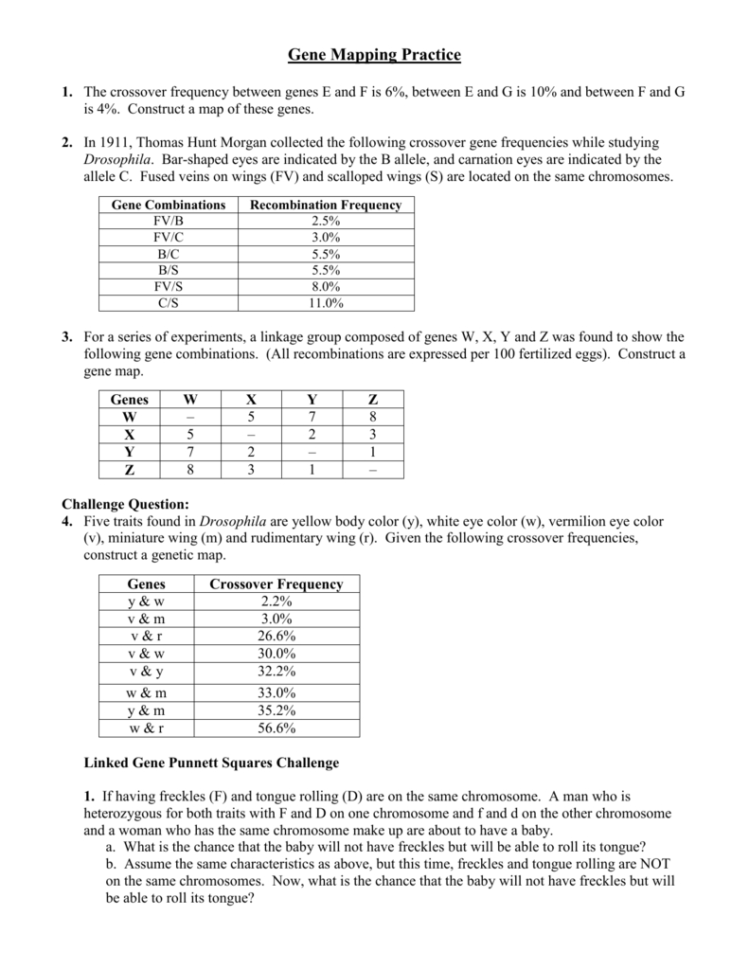 Gene Mapping Worksheet