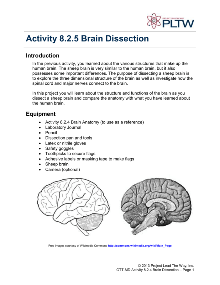 General Pltw Document