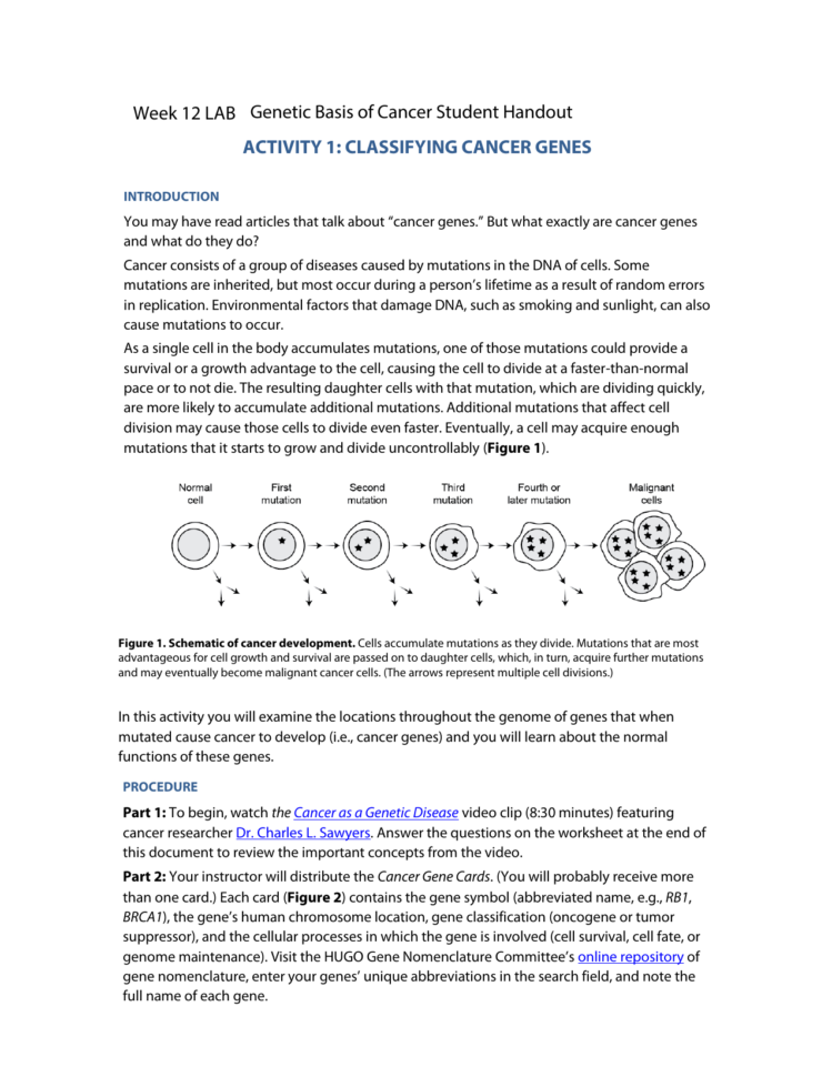 Genetic Basis Of Cancer Student Handout Activity 1