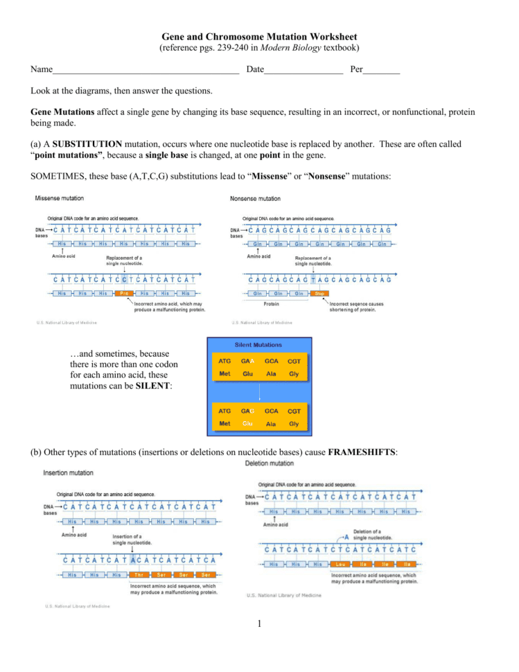 Genetic Mutation Worksheet  Westgate Mennonite Collegiate
