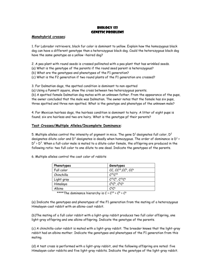 Genetic Problems  Worksheet