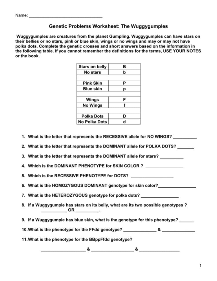 Genetic Problems Worksheet The Wuggygumples
