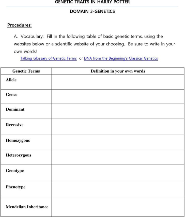 Genetics Basics Worksheet